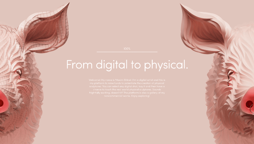 portfolio website